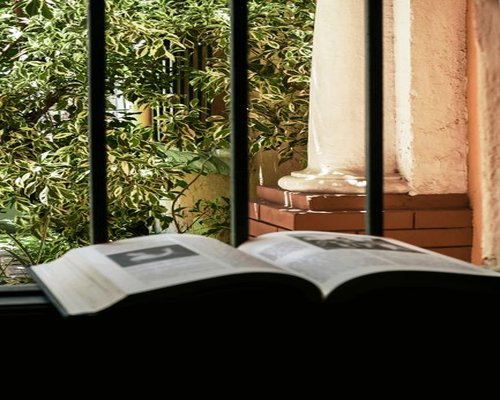 Natural sunlight filtering into a peaceful reading room in Merida