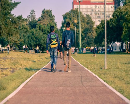People walking calmly in an urban park in Mexico City